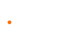 birdeye logo